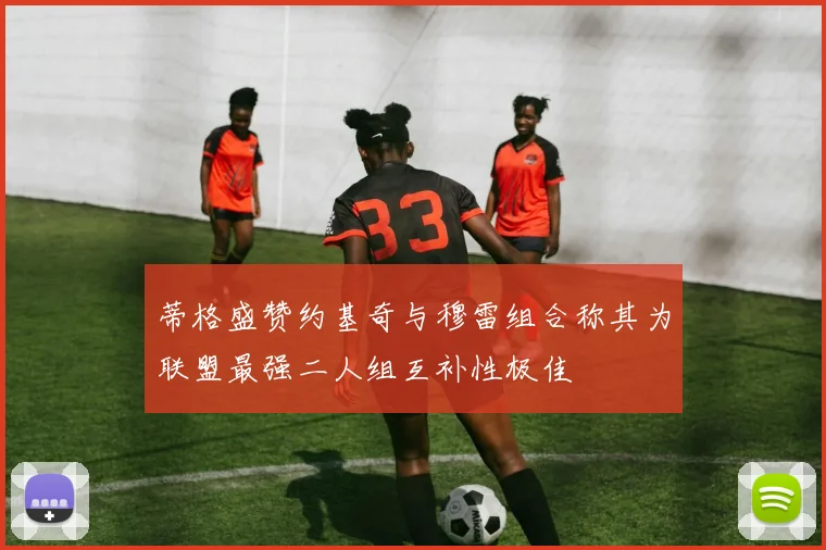 蒂格盛赞约基奇与穆雷组合称其为联盟最强二人组互补性极佳
